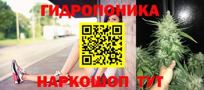 кокс Кингисепп