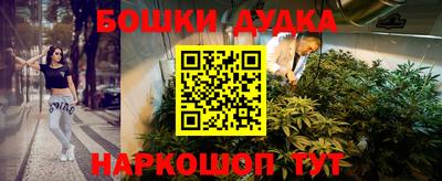 кокс Кингисепп
