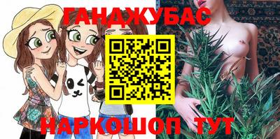кокс Кингисепп