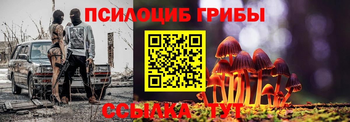 Псилоцибиновые грибы мухоморы Барабинск