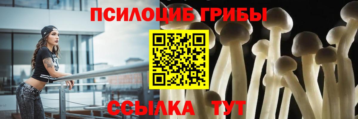 Галлюциногенные грибы Psilocybe  Вход с VPN  Барабинск  Галлюциногенные грибы мухоморы 